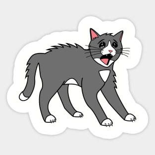 Scared Cat Sticker